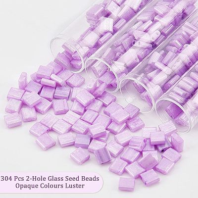 304Pcs 2-Hole Glass Seed Beads SEED-NB0001-70-1