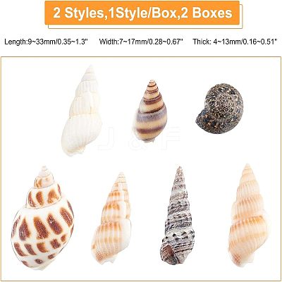 140Pcs 2 Style Natural Shell Beads SSHEL-FH0001-08-1
