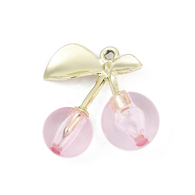 Alloy & Acrylic Pendants PALLOY-S053-01LG-B-1