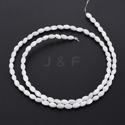 Natural Freshwater Shell Beads Strands SHEL-N027-08A-1
