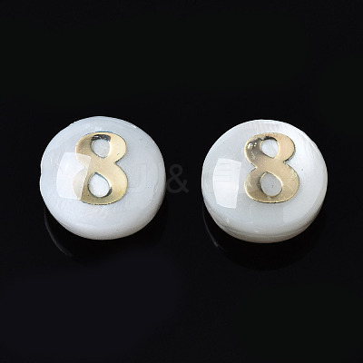 Natural Freshwater Shell Beads SHEL-N003-20-08-1