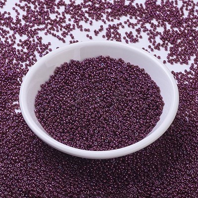 MIYUKI Round Rocailles Beads X-SEED-G007-RR0313-1