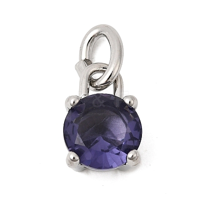 Birthdaystone Theme February 304 Stainless Steel Charms STAS-B128-60P-02-1