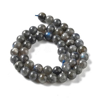 Natural Labradorite Beads Strands G-S333-8mm-035-1
