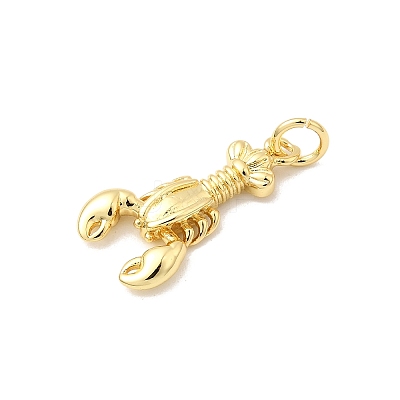 Brass Pendants KK-I364-06G-04-1
