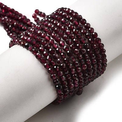 Natural Garnet Beads Strands X-G-I341-09B-01-1