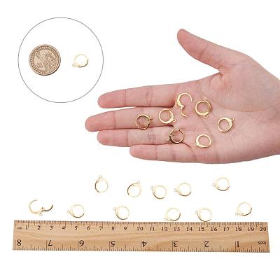 304 Stainless Steel Leverback Earring Findings X-STAS-G081-62G-1