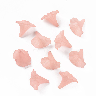 Transparent Acrylic Beads BSF796-C11-1