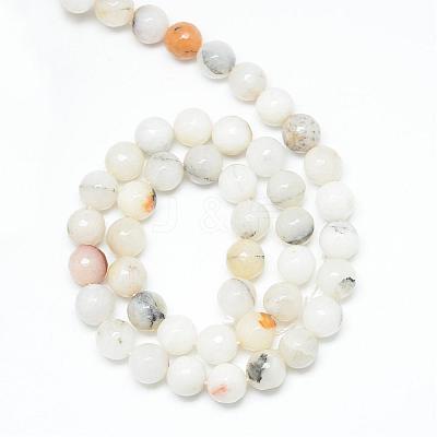 Natural Agate Bead Strands G-R346-8mm-26-1