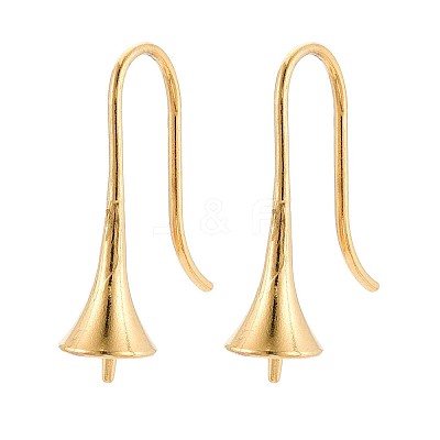 Ion Plating(IP) 304 Stainless Steel Earring Hooks STAS-N108-30G-1
