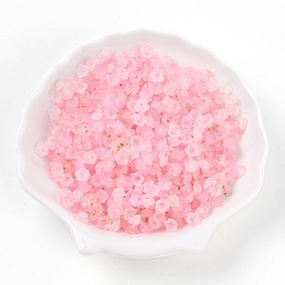 Frosted Transparent Acrylic Beads LS-X-OACR-N137-72B-1