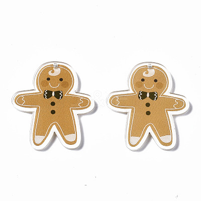 Transparent Printed Acrylic Pendants KY-S163-338-1