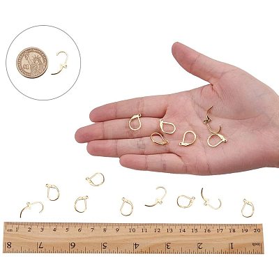 304 Stainless Steel Leverback Earring Findings STAS-PH0018-28G-1