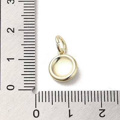 Brass Enamel Charms KK-E092-13G-02-1