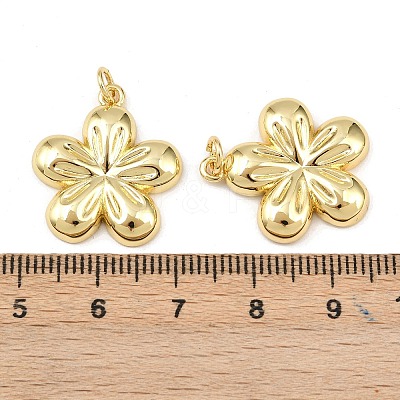 Brass Pendants KK-L251-28G-1
