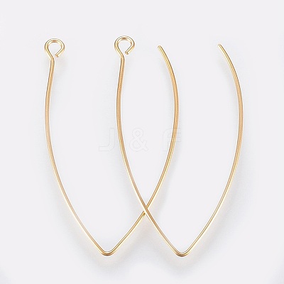 Ion Plating(IP) 304 Stainless Steel Earring Hooks X-STAS-K184-05-01G-A-1