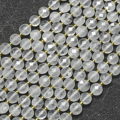 Natural Quartz Crystal Beads Strands G-K389-B62-01-1