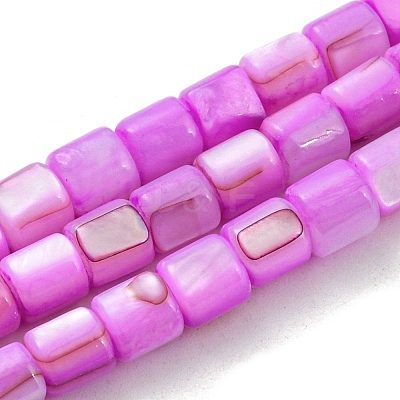 Natural Freshwater Shell Beads Strands SHEL-F008-04B-1