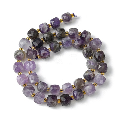 Natural Amethyst Beads Strands G-Q010-A07-01-1