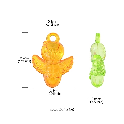 50g Transparent Acrylic Pendants TACR-YW0001-69-1