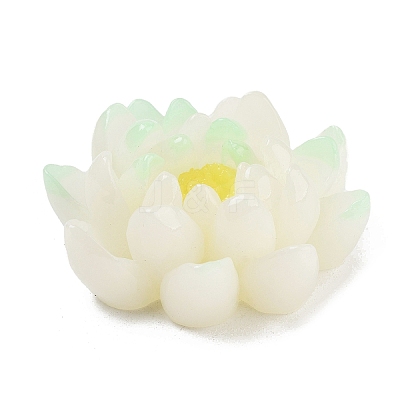 Two Tone Opaque Resin Decoden Cabochons RESI-K042-01F-1