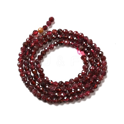 Natural Garnet Beads Strands X-G-I341-09B-1