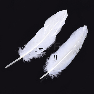 Goose Feather Costume Accessories FIND-T037-02L-1