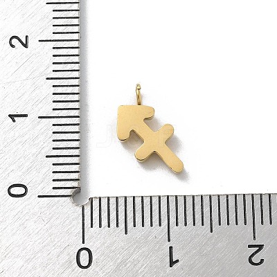 Ion Plating(IP) 304 Stainless Steel Micro Pave Cubic Zirconia Charms STAS-Z107-09G-11-1