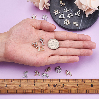 2 Sets 2 Colors Zinc Alloy Pendants ALRI-FW0001-02-1
