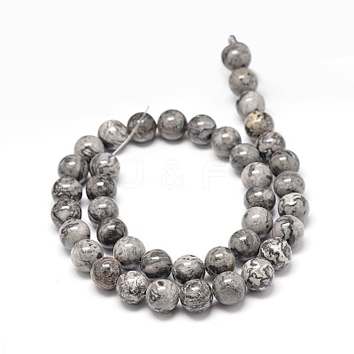 Natural Map Stone Beads Strands G-P075-15-10mm-1