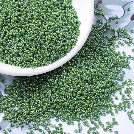 MIYUKI Round Rocailles Beads SEED-G007-RR0480-1