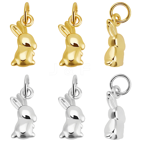 12Pcs 2 Colors Brass Charms KK-BBC0017-98-1