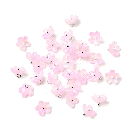 Glass Charms GLAA-G127-05H-1