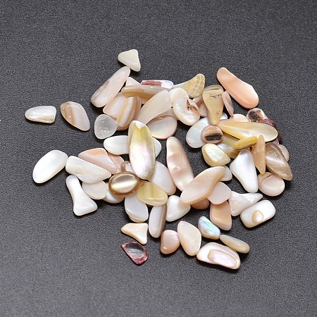 Shell Nuggets Cabochons LS-BSHE-O007-51-1