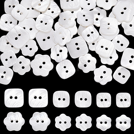 60Pcs 6 Styles 2-Hole Natural Shell Buttons BUTT-PH0001-48-1