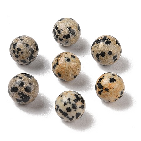 Natural Dalmatian Jasper No Hole Sphere Beads G-K353-04A-16-1