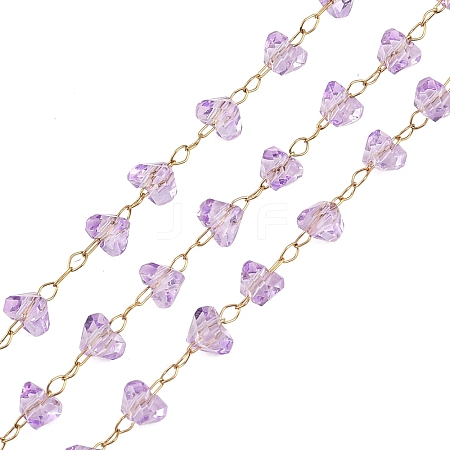 Glass & 304 Stainless Steel Beaded Chains SA-CBAD321-04D-1