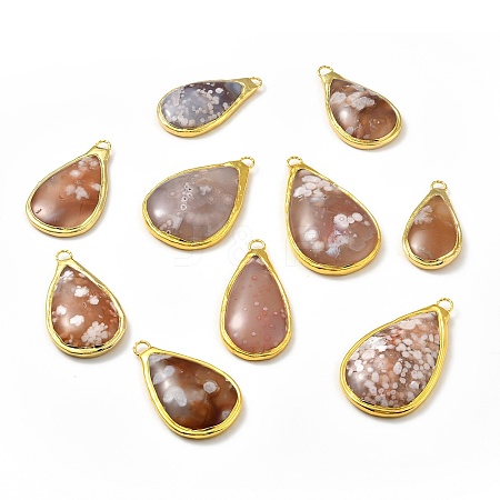 Natural Cherry Blossom Agate Big Pendants KK-G409-03G-1