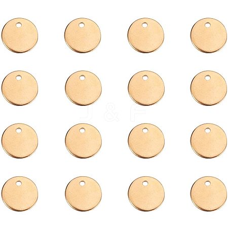 304 Stainless Steel Charms STAS-PH0035-08G-1
