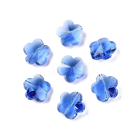 Transparent Glass Beads GLAA-Q066-14mm-C08-1