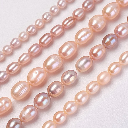 Natural Cultured Freshwater Pearl Beads Strands PEAR-L021-20-01-1