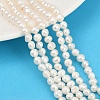 Natural Cultured Freshwater Pearl Beads Strands PEAR-P064-19D-07A-1