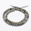 Natural Labradorite Beads Strands G-P322-31-6mm-2