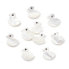 10Pcs Natural Trochid Shell/Trochus Shell Beads SHEL-CJ0001-31-1