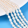 Natural Baroque Keshi Pearl Beads Strands PEAR-N031-01C-1