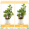 Copper Plant Growth Support DIY-NB00006-4