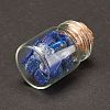 Transparent Glass Wishing Bottle Decoration DJEW-A001-01C-14-3