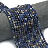 Natural Sodalite Beads Strands G-A260-A19-01-1