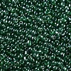 8/0 Glass Seed Beads SEED-A006-3mm-107-2