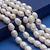 Natural Cultured Freshwater Pearl Beads Strands Rice A23TR011-5